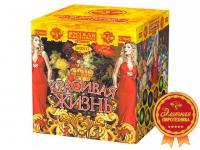 Красивая жизнь Фейерверк купить в Жукове | zhukov.salutsklad.ru