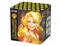 С огоньком! Фейерверк купить в Жукове | zhukov.salutsklad.ru