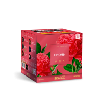 Пионы Салют купить в Жукове | zhukov.salutsklad.ru