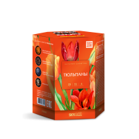 Тюльпаны Салют купить в Жукове | zhukov.salutsklad.ru