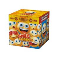 Смайл Фонтан пиротехнический купить в Жукове | zhukov.salutsklad.ru