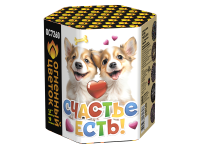 Счастье есть! Салют купить в Жукове | zhukov.salutsklad.ru