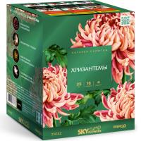 Хризантемы Фейерверк купить в Жукове | zhukov.salutsklad.ru