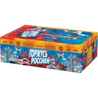 Горжусь Россией! Фейерверк купить в Жукове | zhukov.salutsklad.ru