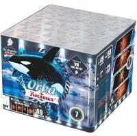 Косатка Фейерверк купить в Жукове | zhukov.salutsklad.ru