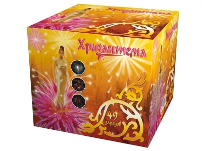 Хризантема Салют купить в Жукове | zhukov.salutsklad.ru