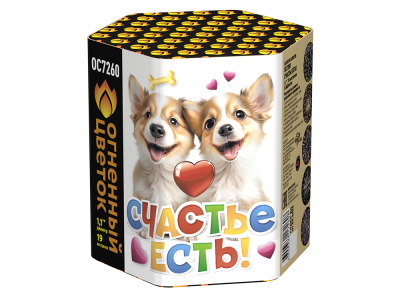 Счастье есть! Салют купить в Жукове | zhukov.salutsklad.ru